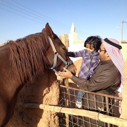 شافي الغازي | Shafi Alghazi avatar image