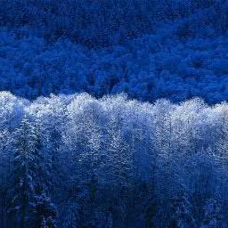 عقيل الصديق avatar image